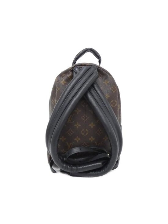 Louis Vuitton Monogram Reverse Palm Spring Backpack PM main image 4